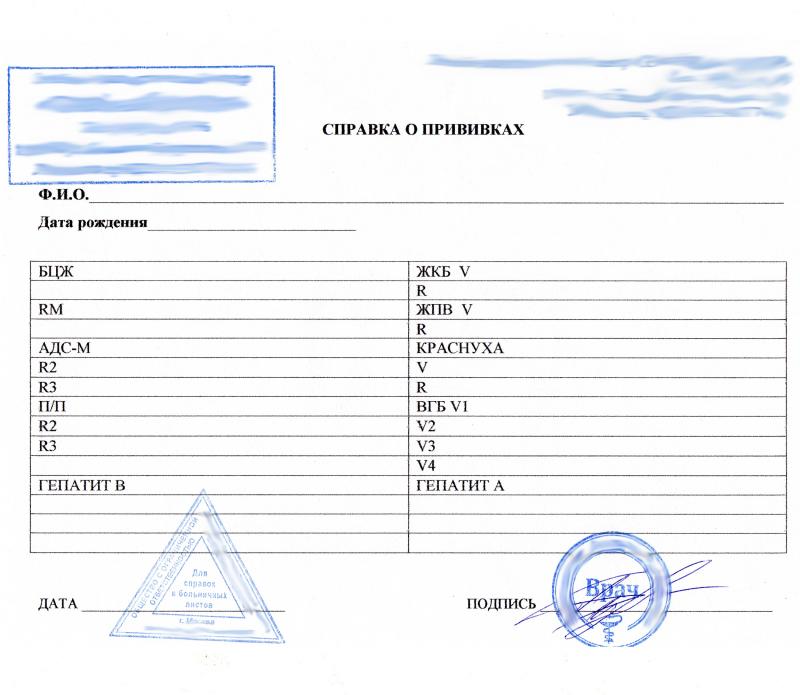Выписка о прививках Дизентерия зонне